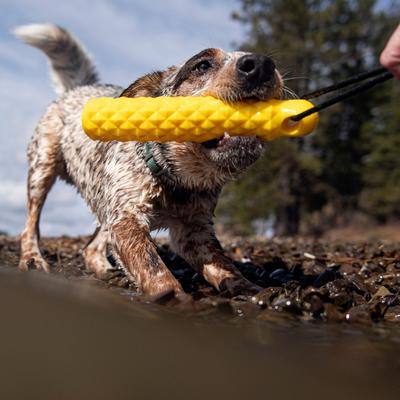 Show full view: Hound2O Rope Bumper Dog Toy, Yellow slide 3 of 8
