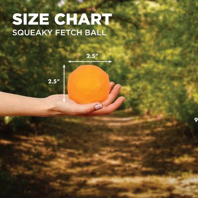 Show full view: Hound2O Squeaky Fetch Ball Dog Toy, Orange slide 2 of 8