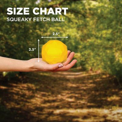 Show full view: Hound2O Squeaky Fetch Ball Dog Toy, Yellow slide 2 of 8