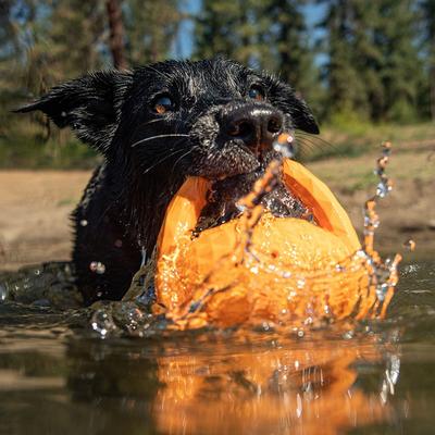 Show full view: Hound2O Squeaky Tug Ball Dog Toy, Orange slide 4 of 9