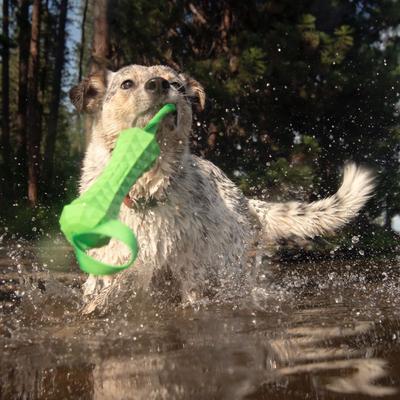 Show full view: Hound2O Tug Stick Dog Toy, Green slide 3 of 8