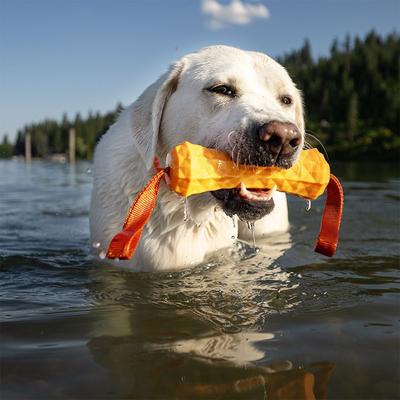 Show full view: Hound2O Tug Stick Dog Toy, Orange slide 4 of 9