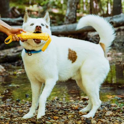 Show full view: Hound2O Tug Stick Dog Toy, Yellow slide 3 of 6