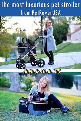 Show full view: HPZ Rover Prime G2 Luxury 3-in-1 Dog & Cat Stroller, Black slide 9 of 10
