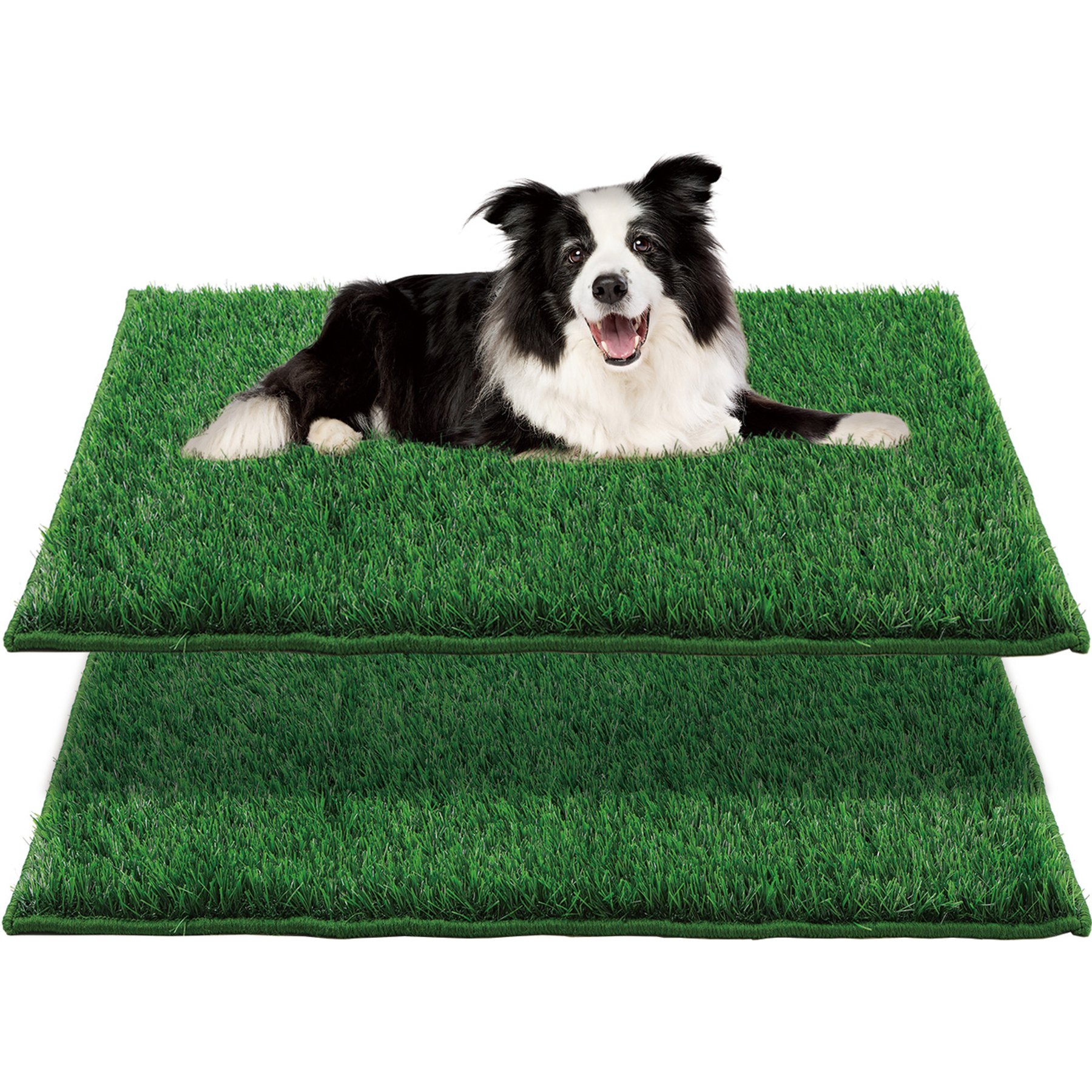 HQ4US 4LEGS Odorless Artificial Grass Mat Dog Potty Training System, 2 count, Large