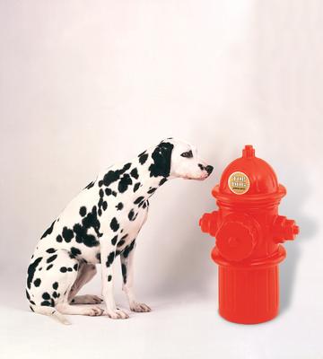 Show full view: ht-pet Plastic Fire Hydrant Storage Container, 24-in slide 2 of 4
