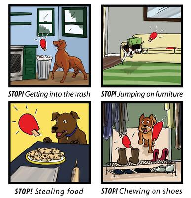 Show full view: ht-pet Snappy Trainer Pet Deterrent, 2 count slide 3 of 5