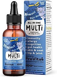 Huggibles All-in-One Multi Chicken Flavored Liquid Multivitamin for Dogs & Cats, 4-fl oz bottle