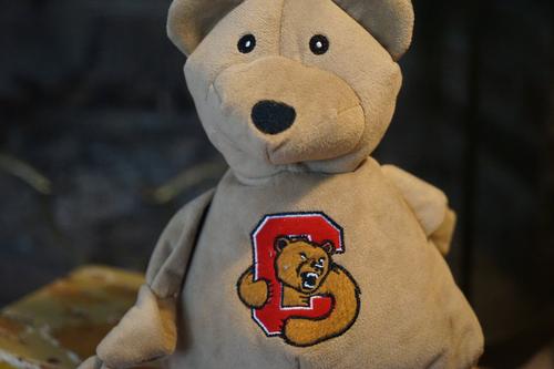 Show full view: HuggleHounds College Mascot Plush Corduroy Knottie Squeaky Plush Dog Toy, Cornell Big Red, Large slide 3 of 10
