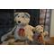 Show in main carousel: HuggleHounds College Mascot Plush Corduroy Knottie Squeaky Plush Dog Toy, Cornell University, Small  slide 4 of 11
