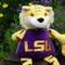 Show in main carousel: HuggleHounds College Mascot Plush Corduroy Knottie Squeaky Plush Dog Toy, Louisiana State Tigers, Large slide 3 of 10