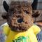 Show in main carousel: HuggleHounds College Mascot Plush Corduroy Knottie Squeaky Plush Dog Toy, North Dakota State Bison, Large slide 3 of 10