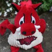 Show in main carousel: HuggleHounds College Mascot Plush Corduroy Knottie Squeaky Plush Dog Toy, University of Arkansas, Large slide 3 of 10