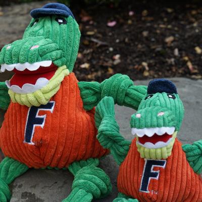 Show full view: HuggleHounds College Mascot Plush Corduroy Knottie Squeaky Plush Dog Toy, Florida Gators, Small slide 3 of 10