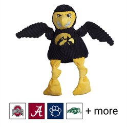 HuggleHounds College Mascot Plush Corduroy Knottie Squeaky Plush Dog Toy, University of Iowa, Small 