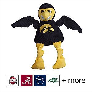 HuggleHounds College Mascot Plush Corduroy Knottie Squeaky Plush Dog Toy, Iowa Hawkeyes, Small