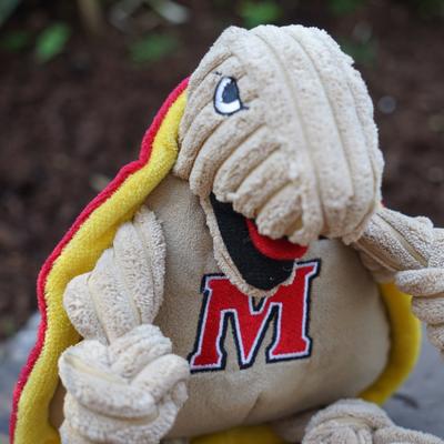 Show full view: HuggleHounds College Mascot Plush Corduroy Knottie Squeaky Plush Dog Toy, Maryland Terrapins, Large slide 4 of 11
