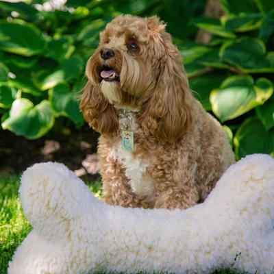 Show full view: HuggleHounds Huggle Fleece Bone Dog Toy, X-Large slide 3 of 10