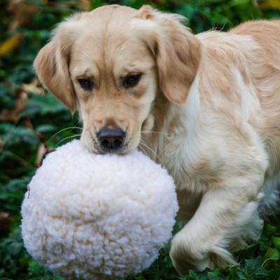 Show full view: HuggleHounds HuggleFleece Ball Dog Toy, Large slide 3 of 8