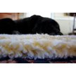 Show in main carousel: HuggleHounds HuggleFleece Faux Lambswool Dog & Cat Crate Mat, Natural, Large slide 8 of 11