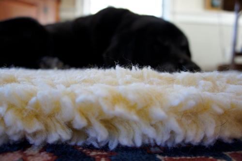 Show full view: HuggleHounds HuggleFleece Faux Lambswool Dog & Cat Crate Mat, Natural, Large slide 8 of 11