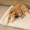 Show in main carousel: HuggleHounds HuggleFleece Faux Lambswool Dog & Cat Crate Mat, Natural, Large slide 6 of 11