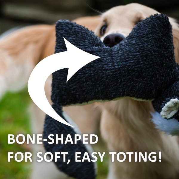 HuggleHounds Squooshies Durable Plush Squeaky Dog Toy