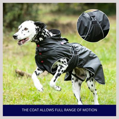 Show full view: HUGO & HUDSON All-weather Waterproof Dog Raincoat, Black, Large slide 7 of 9