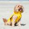 Show in main carousel: HUGO & HUDSON All-weather Waterproof Dog Raincoat, Yellow, Small slide 2 of 8