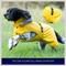 Show in main carousel: HUGO & HUDSON All-weather Waterproof Dog Raincoat, Yellow, Small slide 6 of 8