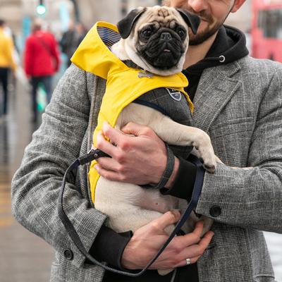Show full view: HUGO & HUDSON Checked Herringbone Tweed Dog Harness, Grey, X-Small slide 6 of 9