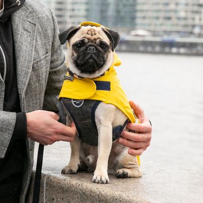 Show full view: HUGO & HUDSON Checked Herringbone Tweed Dog Harness, Grey, X-Small slide 8 of 9