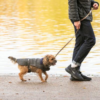 Show full view: HUGO & HUDSON Checked Herringbone Tweed Dog Leash, Caramel, Large slide 8 of 10