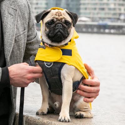 Show full view: HUGO & HUDSON Checked Herringbone Tweed Metal Buckle Dog Collar, Grey, Large slide 2 of 9