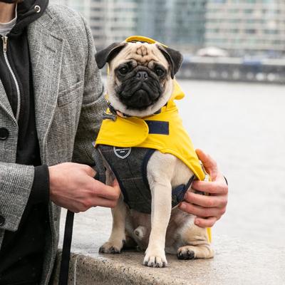 Show full view: HUGO & HUDSON Checked Herringbone Tweed Metal Buckle Dog Collar, Grey, Large slide 5 of 9