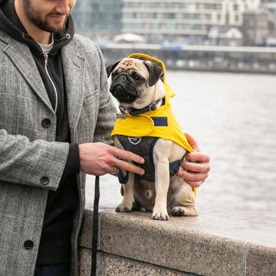 Show full view: HUGO & HUDSON Checked Herringbone Tweed Metal Buckle Dog Collar, Grey, Large slide 6 of 9