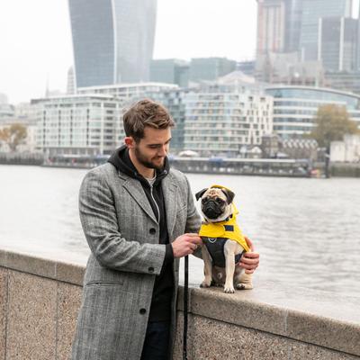 Show full view: HUGO & HUDSON Checked Herringbone Tweed Metal Buckle Dog Collar, Grey, Large slide 7 of 9