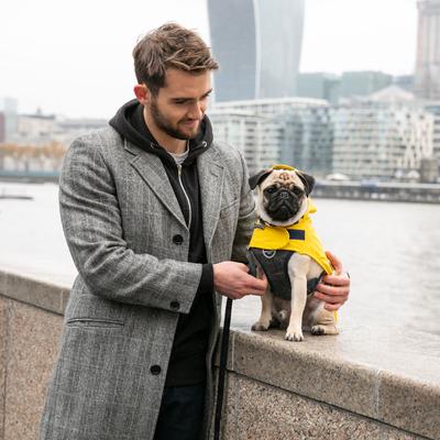 Show full view: HUGO & HUDSON Checked Herringbone Tweed Metal Buckle Dog Collar, Grey, Large slide 9 of 9