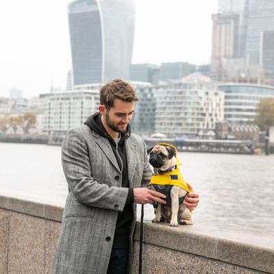 Show full view: HUGO & HUDSON Checked Herringbone Tweed Metal Buckle Dog Collar, Grey, X-Small slide 9 of 10