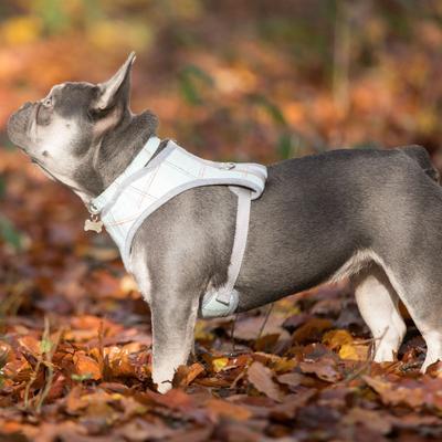 Show full view: HUGO & HUDSON Checked Tweed Dog Harness, Aqua, Large slide 9 of 11