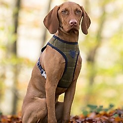 HUGO & HUDSON Checked Tweed Dog Harness, Dark Green, Large slide 2 of 9