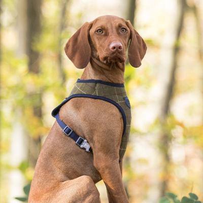 Show full view: HUGO & HUDSON Checked Tweed Dog Harness, Dark Green, Large slide 9 of 10