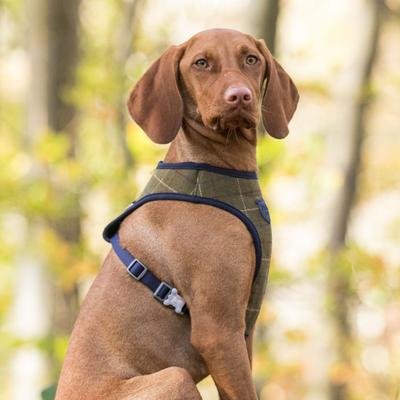 Show full view: HUGO & HUDSON Checked Tweed Dog Harness, Dark Green, X-Small slide 9 of 11