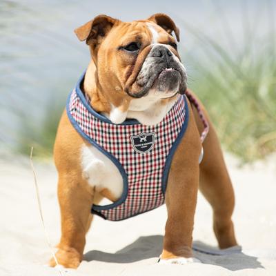 Show full view: HUGO & HUDSON Checked Tweed Dog Harness, Red & Blue, X-Small slide 3 of 11