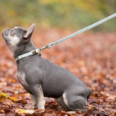 Show full view: HUGO & HUDSON Checked Tweed Dog Leash, Aqua, Large slide 2 of 9