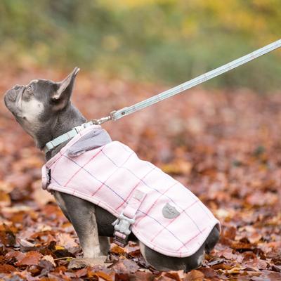 Show full view: HUGO & HUDSON Checked Tweed Dog Leash, Aqua, Large slide 7 of 9