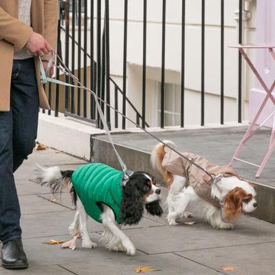 Show full view: HUGO & HUDSON Checked Tweed Dog Leash, Aqua, Small slide 9 of 10