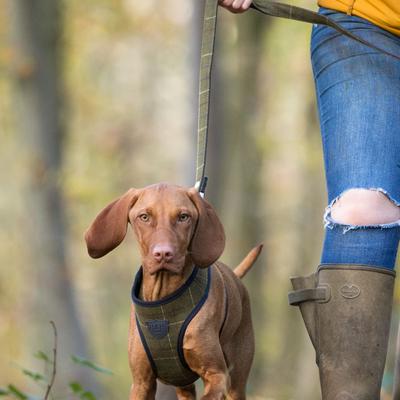 Show full view: HUGO & HUDSON Checked Tweed Dog Leash, Dark Green, Large slide 7 of 10
