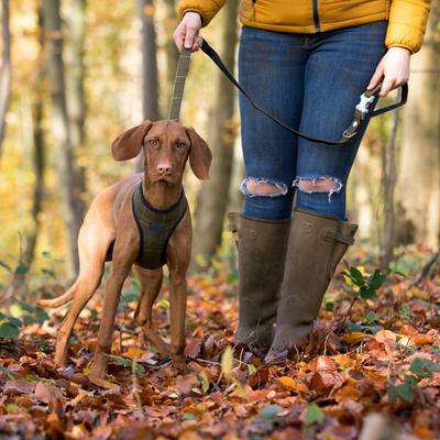 Show full view: HUGO & HUDSON Checked Tweed Dog Leash, Dark Green, Large slide 8 of 10
