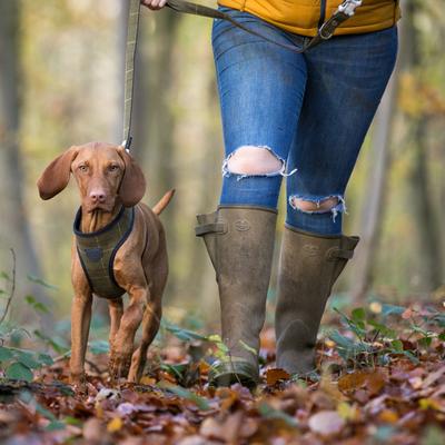 Show full view: HUGO & HUDSON Checked Tweed Dog Leash, Dark Green, Large slide 9 of 10